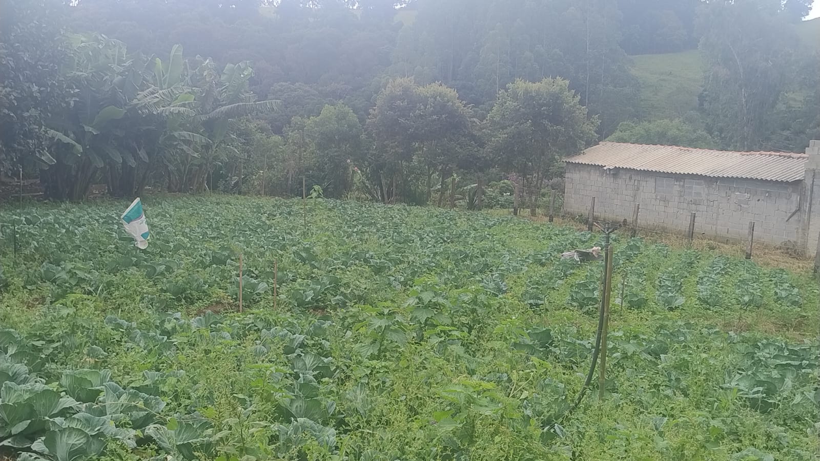 Terreno para formação de chácara em Camanducaia - MG1271