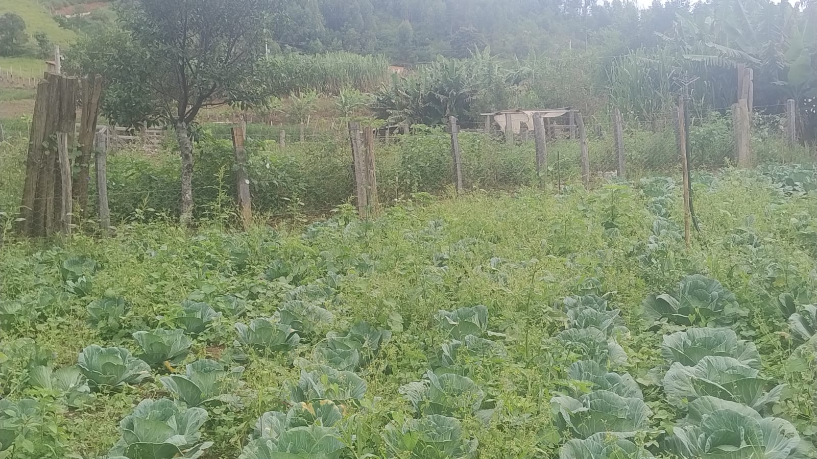 Terreno para formação de chácara em Camanducaia - MG1271