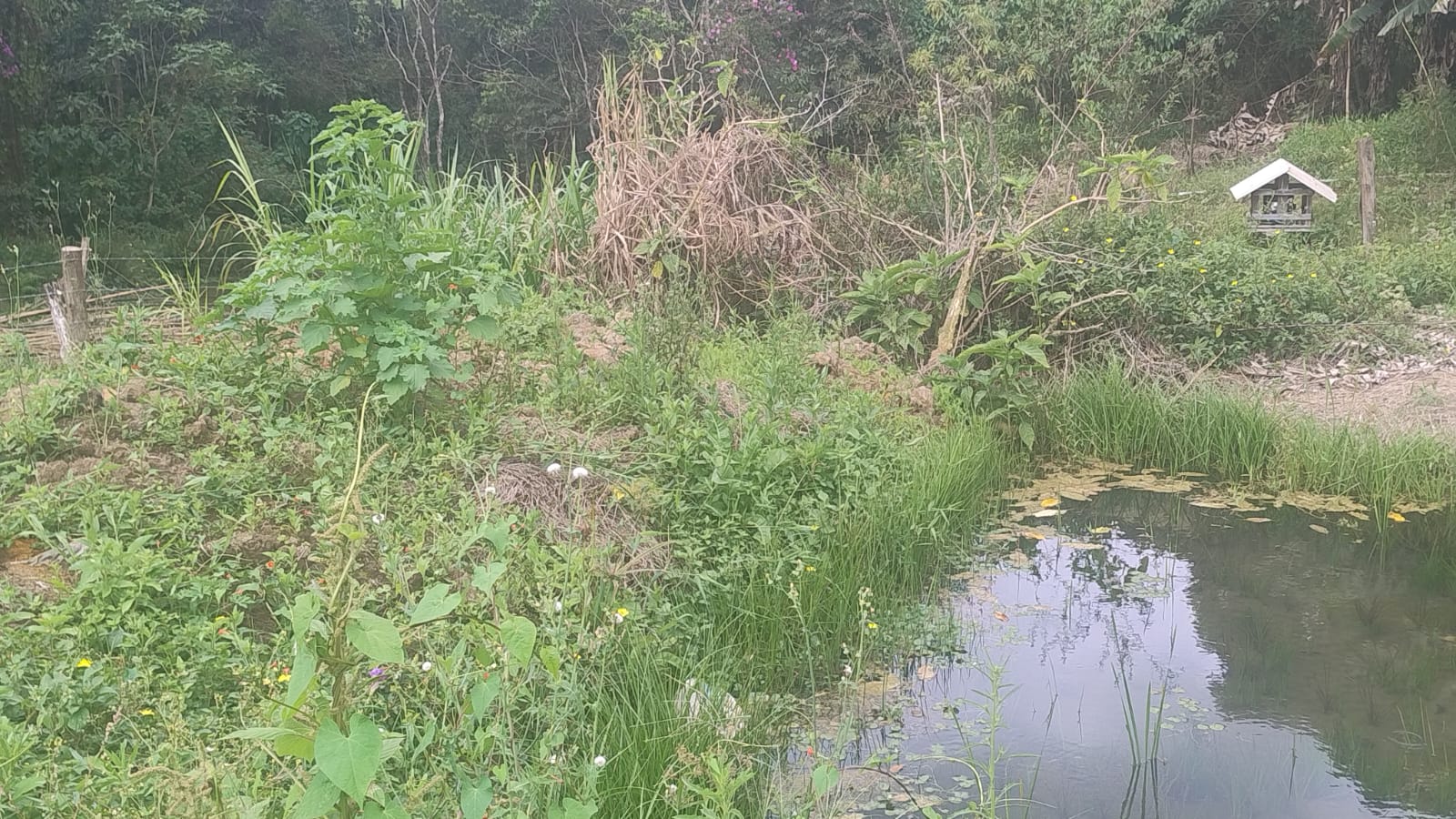 Terreno para formação de chácara em Camanducaia - MG1271