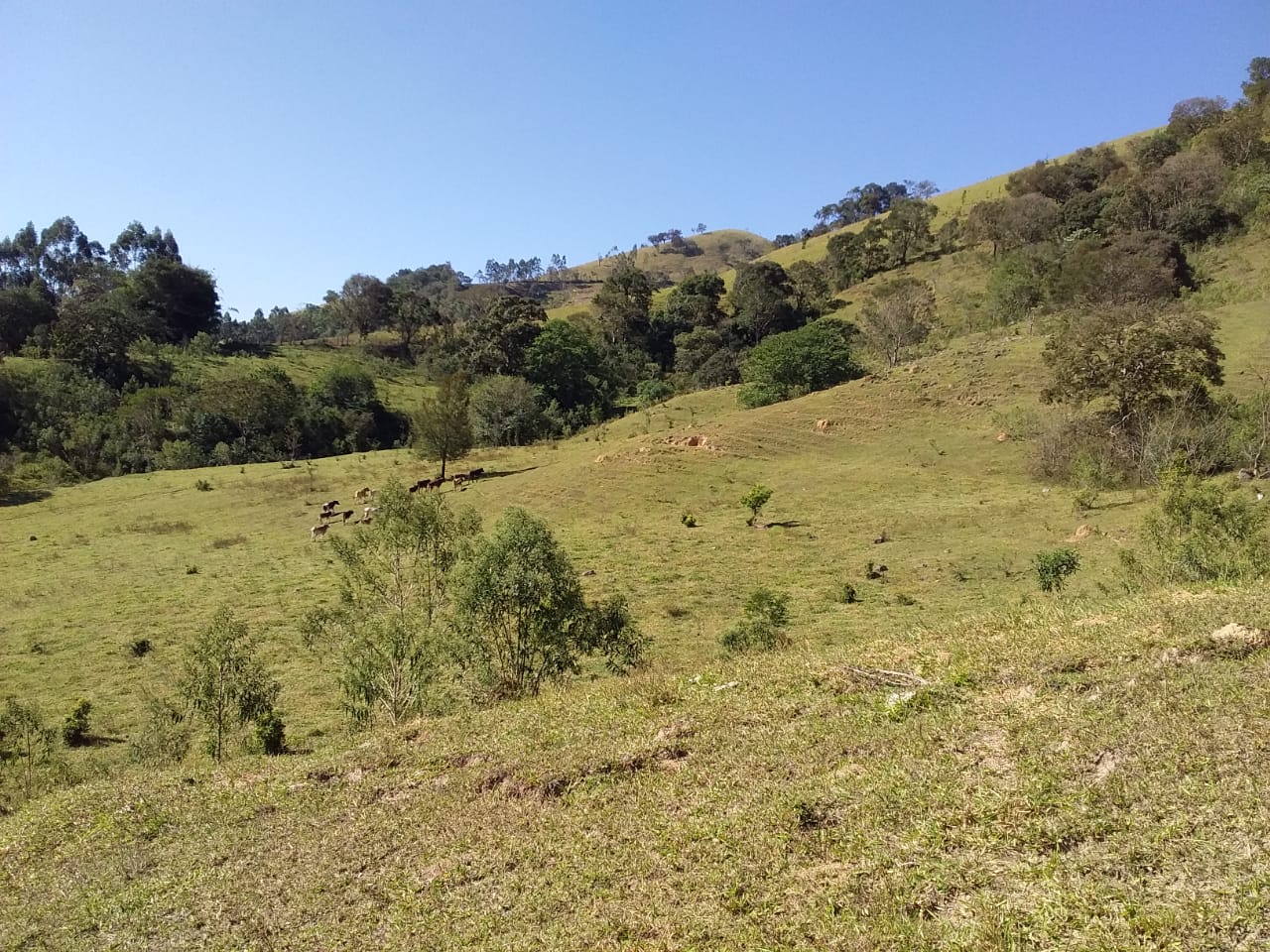 Propriedade rural com 6 alqueires, lago, água de nascente e casa completa. Agende sua visita cod. 1275