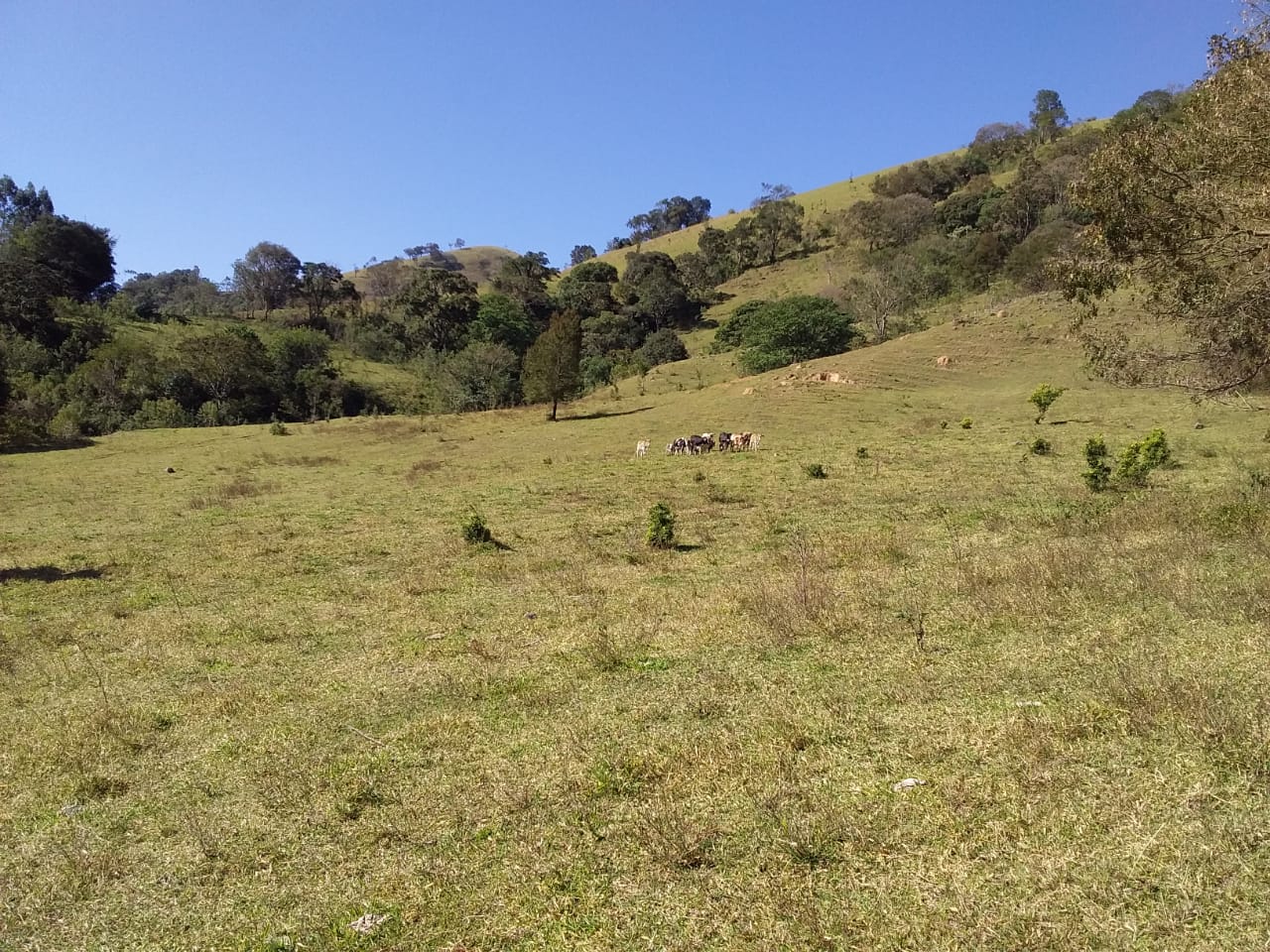 Propriedade rural com 6 alqueires, lago, água de nascente e casa completa. Agende sua visita cod. 1275