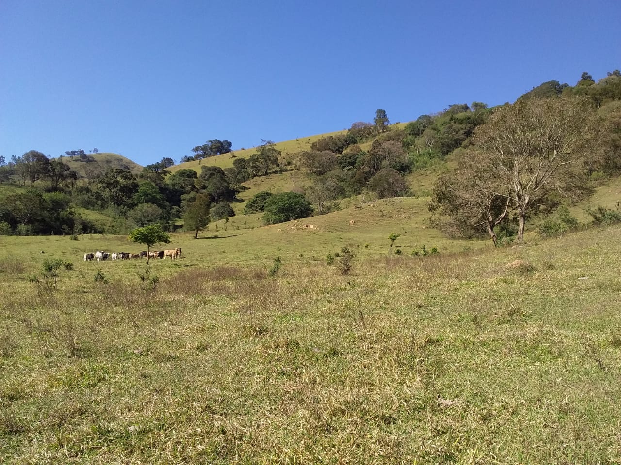 Propriedade rural com 6 alqueires, lago, água de nascente e casa completa. Agende sua visita cod. 1275