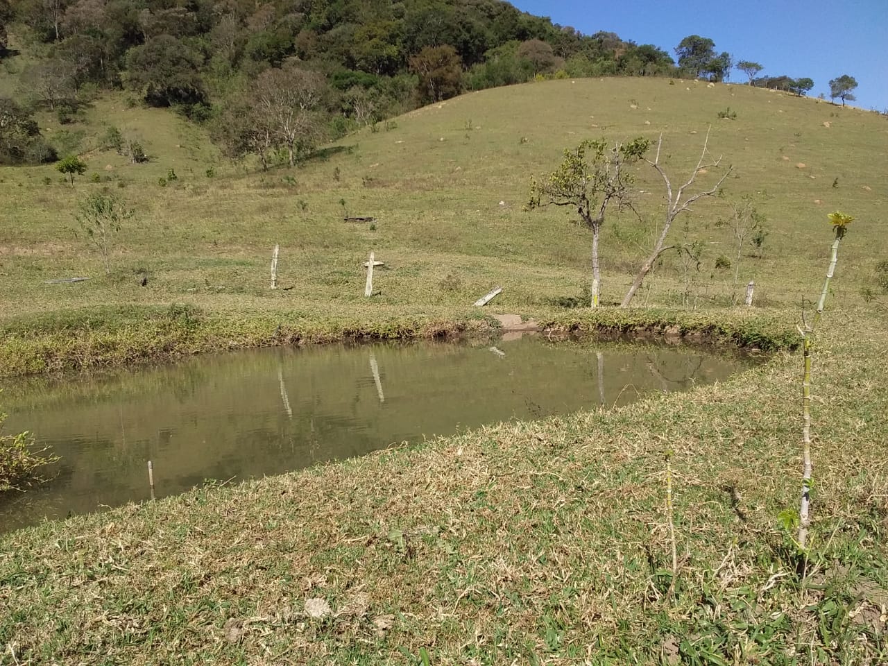 Propriedade rural com 6 alqueires, lago, água de nascente e casa completa. Agende sua visita cod. 1275