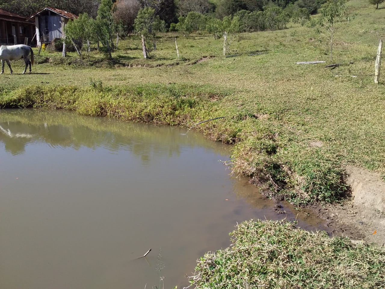 Propriedade rural com 6 alqueires, lago, água de nascente e casa completa. Agende sua visita cod. 1275