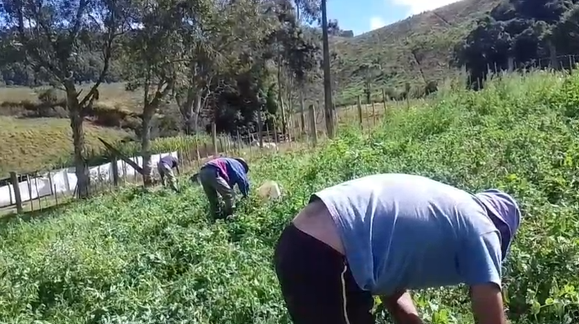 Sítio à Venda em Camanducaia MG com 2 Lagos, Nascente e 55.000 m² Cod.1277