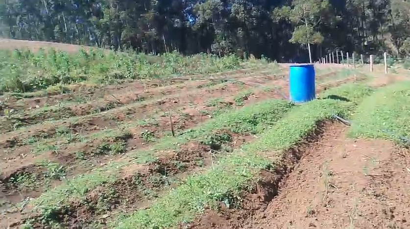 Sítio à Venda em Camanducaia MG com 2 Lagos, Nascente e 55.000 m² Cod.1277