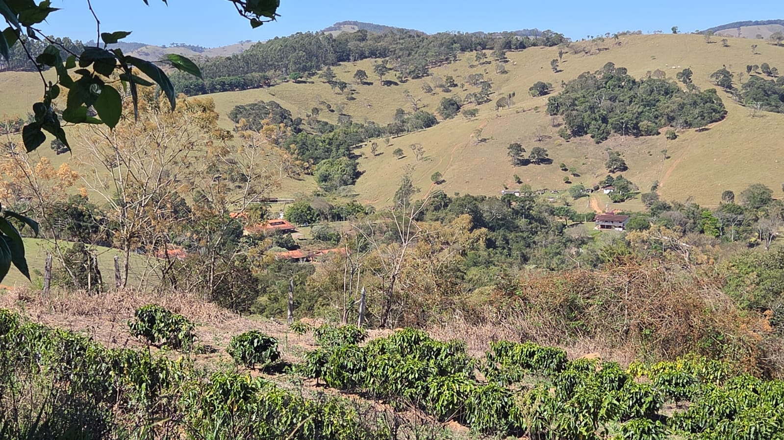 Sítio à Venda com 23.000 m², Café e Casa – R$ 470 Mil 1280