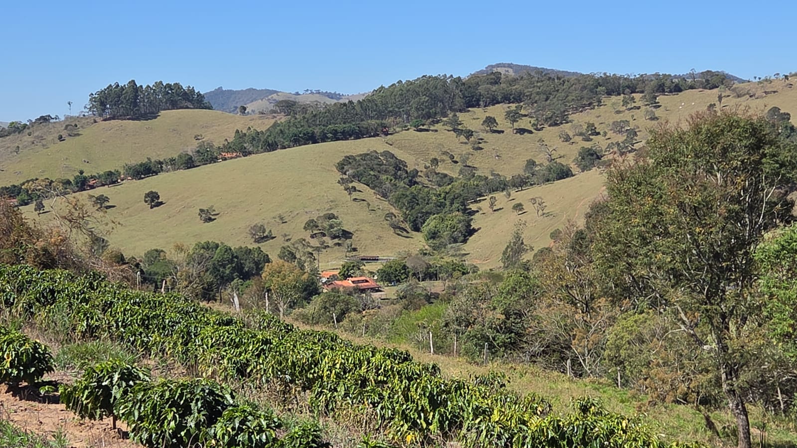 Sítio à Venda com 23.000 m², Café e Casa – R$ 470 Mil 1280