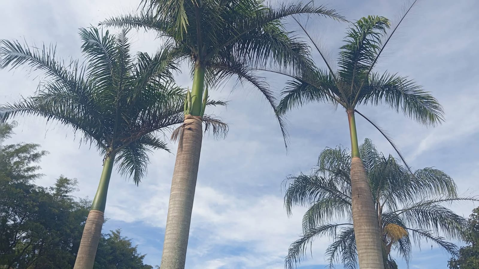 Chácara à Venda em Extrema/MG: 2.000 m², Piscina e Casa com 3 Quartos a 500 m da Fernão Dias