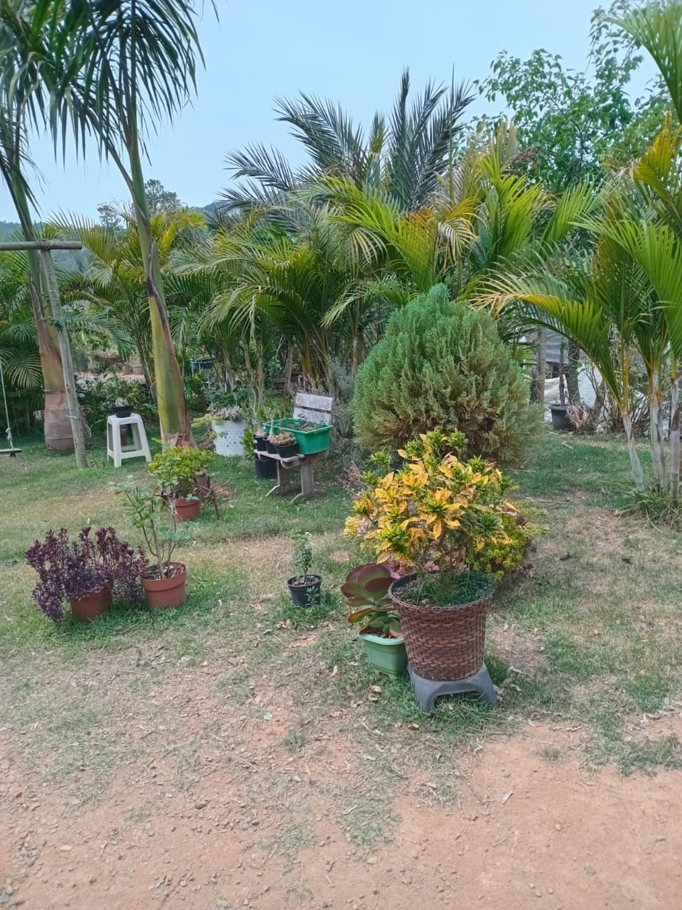Chácara à Venda em Toledo-MG | 5.400 m², Nascente e Casa cód. 1282