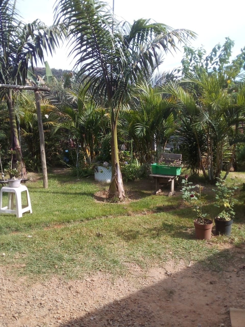 Chácara à Venda em Toledo-MG | 5.400 m², Nascente e Casa cód. 1282