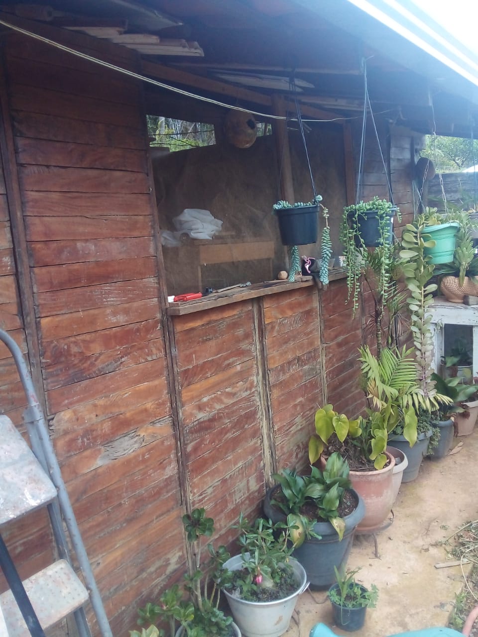 Chácara à Venda em Toledo-MG | 5.400 m², Nascente e Casa cód. 1282
