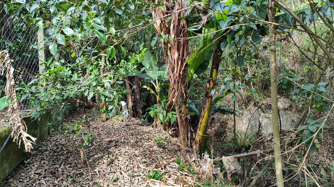 Chácara à venda a casa possui:3 quartos, sendo 1 suíte, banheiro, sala, cozinha. Em Pinhalzinho - SP 1285