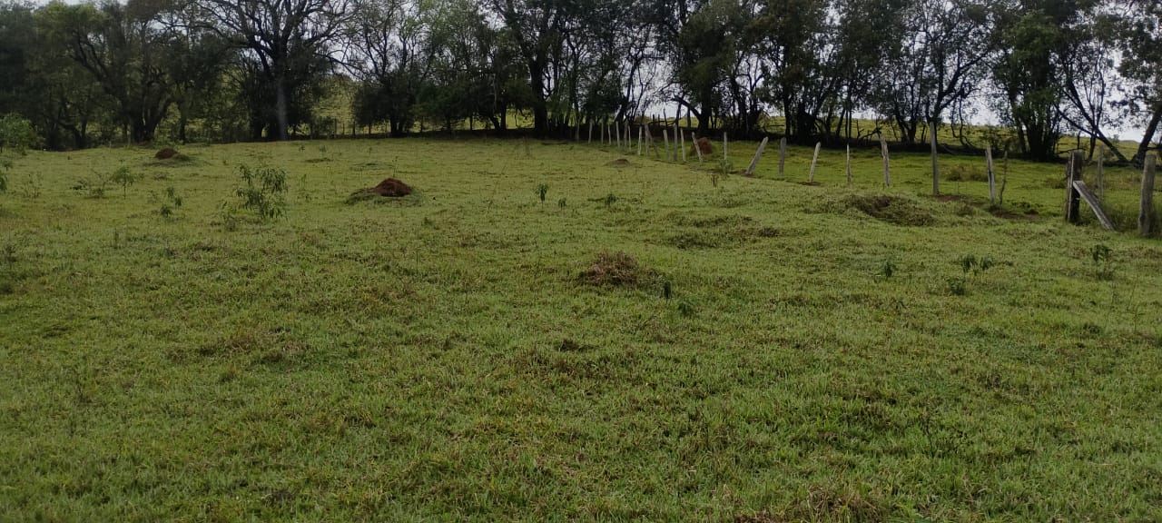 Terreno para Chácara à Venda em Extrema MG – Salto de Cima -  cód.1287