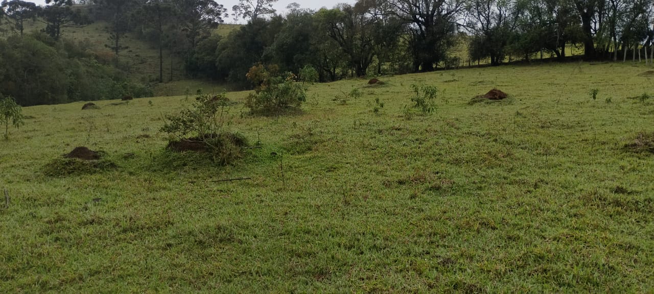 Terreno para Chácara à Venda em Extrema MG – Salto de Cima -  cód.1287