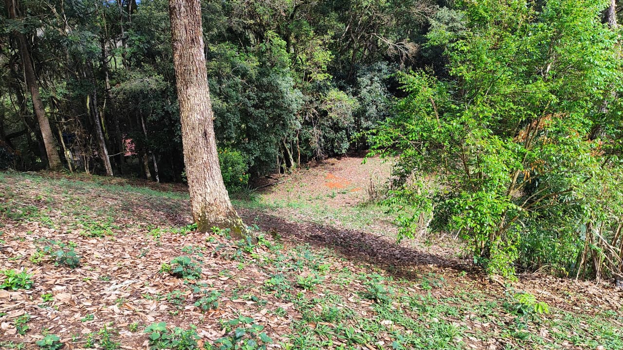 Oportunidade Única: Chácara Espaçosa em Extrema/MG Cod. 1296