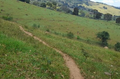 Venda de Propriedade Rural – 14 Alqueires em Itapeva-MG Cód. 1253