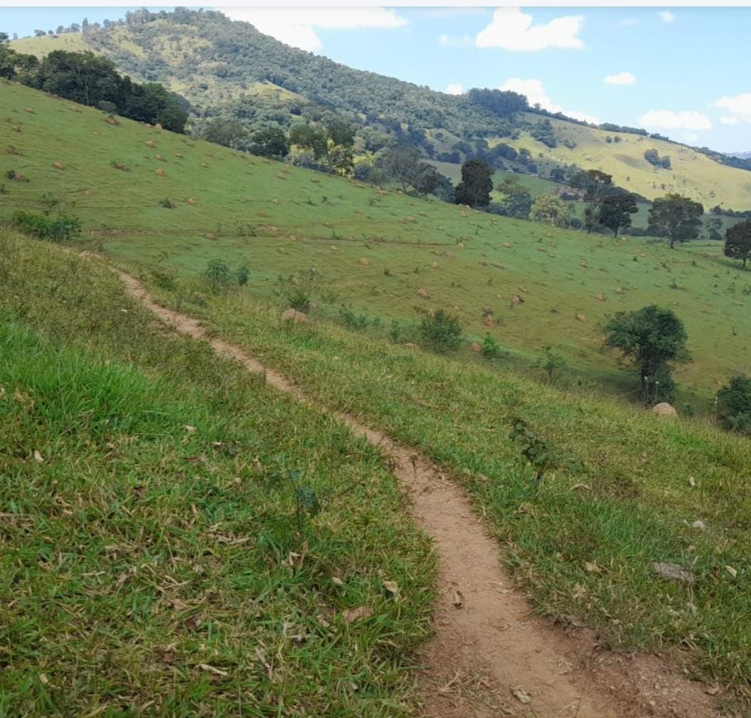 Venda de Propriedade Rural – 14 Alqueires em Itapeva-MG Cód. 1253
