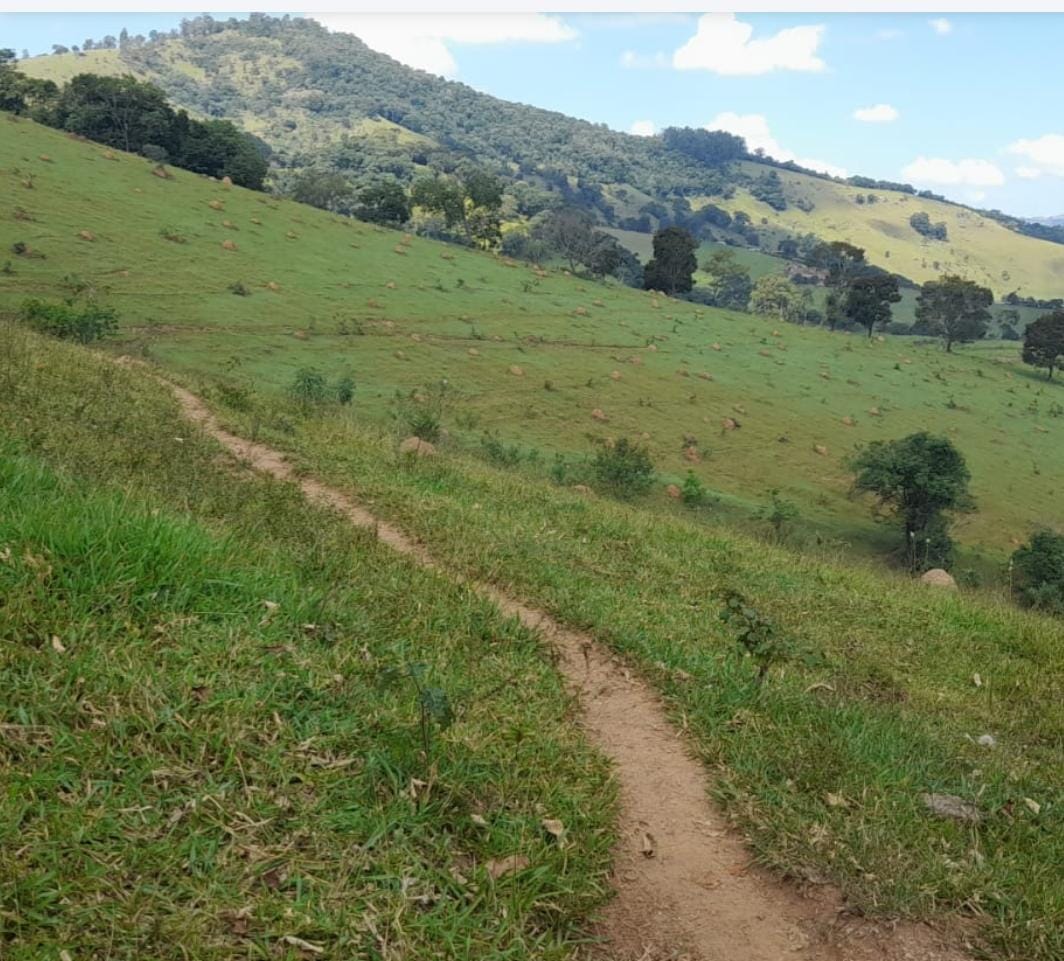 Venda de Propriedade Rural – 14 Alqueires em Itapeva-MG Cód. 1253