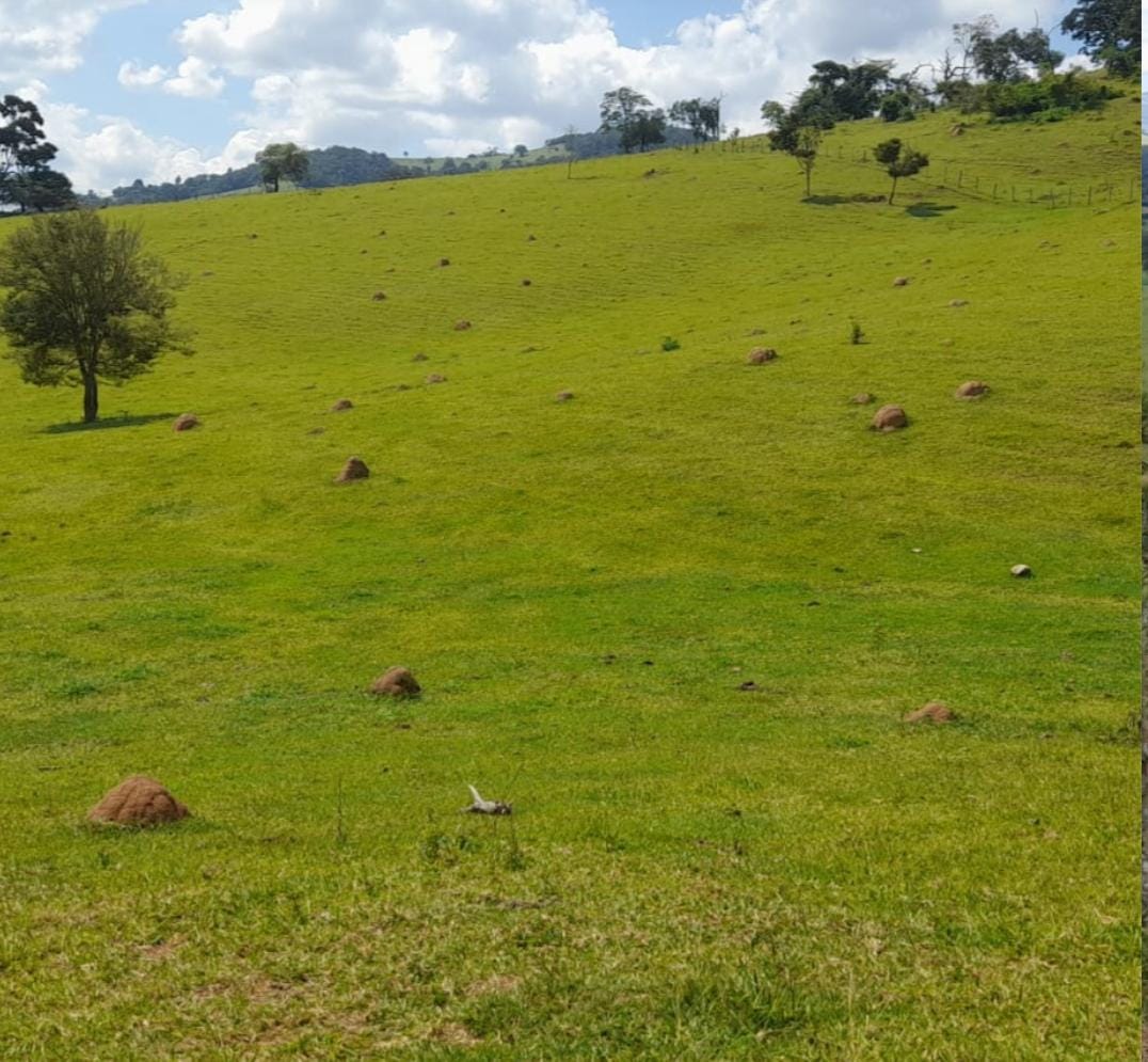 Venda de Propriedade Rural – 14 Alqueires em Itapeva-MG Cód. 1253