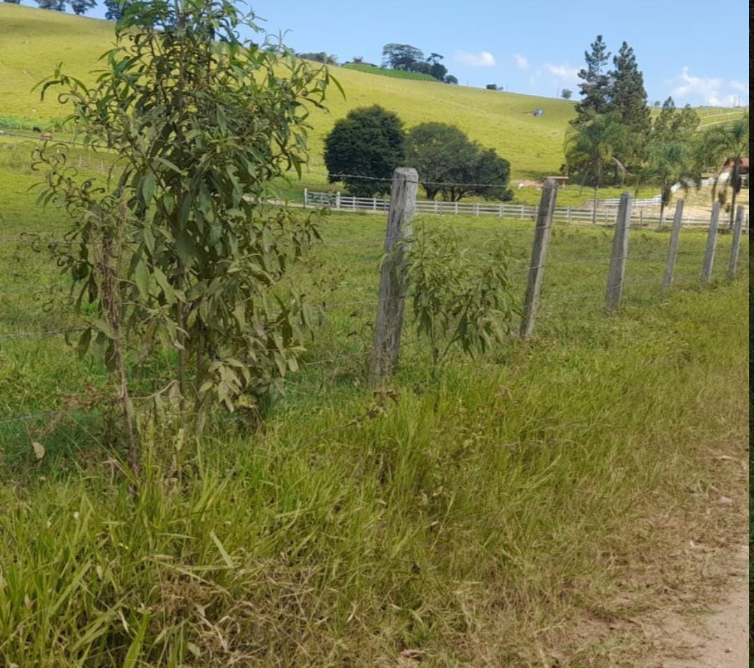 Venda de Propriedade Rural – 14 Alqueires em Itapeva-MG Cód. 1253