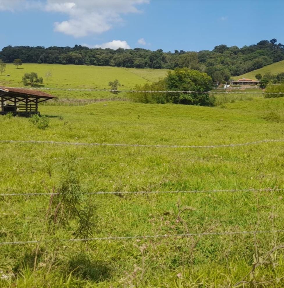 Venda de Propriedade Rural – 14 Alqueires em Itapeva-MG Cód. 1253
