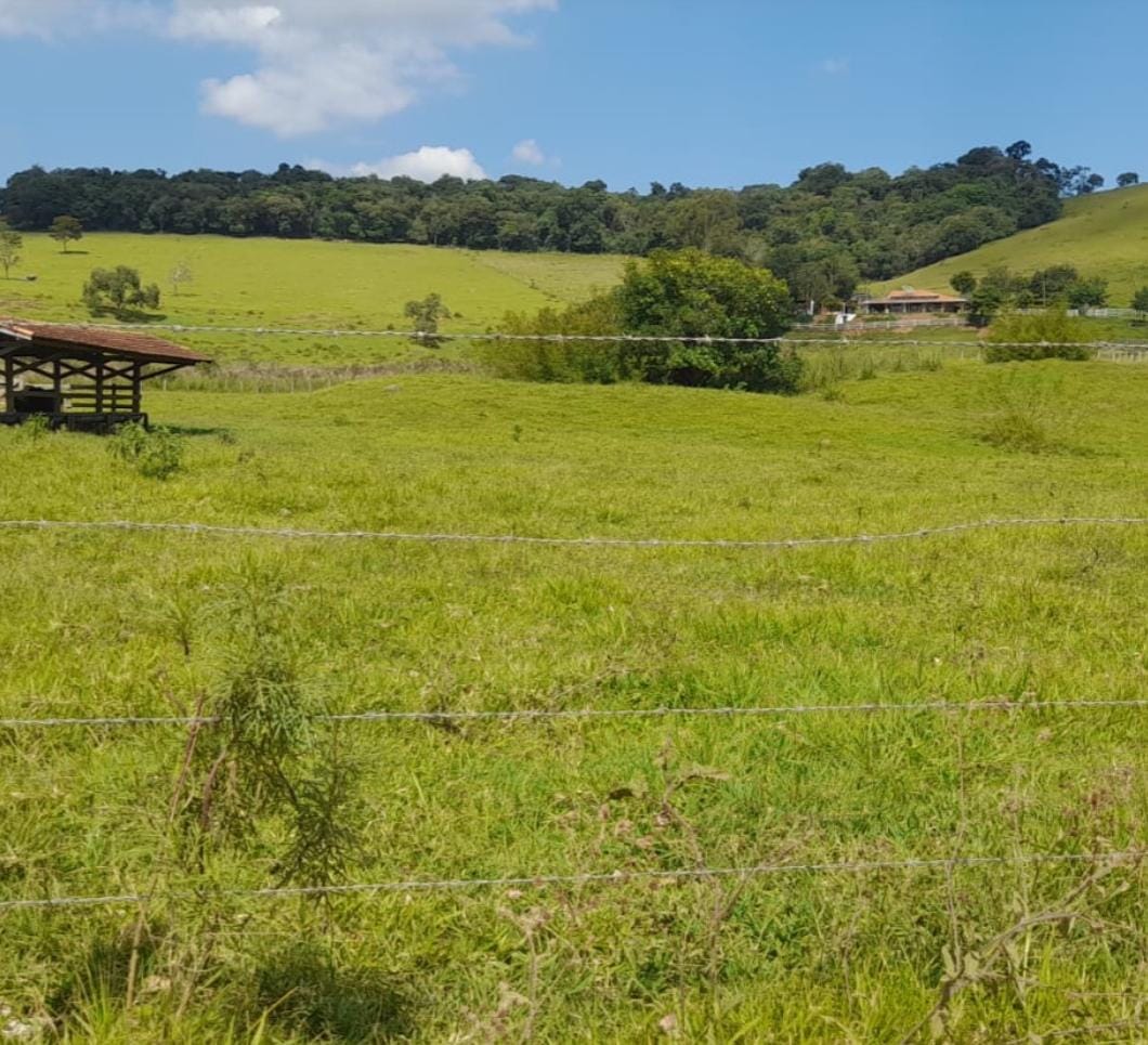Venda de Propriedade Rural – 14 Alqueires em Itapeva-MG Cód. 1253