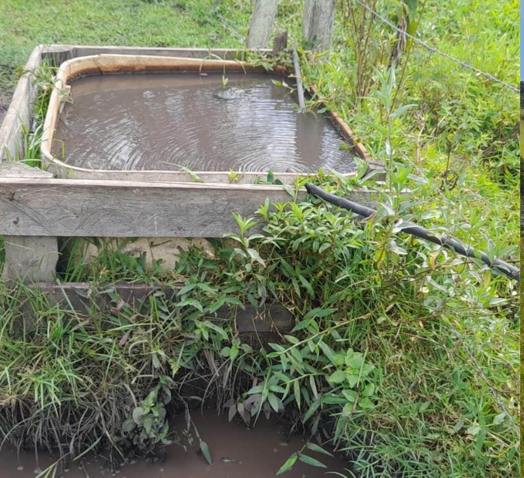 Venda de Propriedade Rural – 14 Alqueires em Itapeva-MG Cód. 1253
