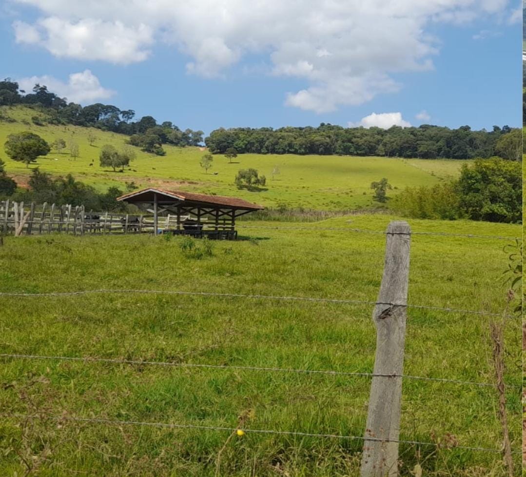 Venda de Propriedade Rural – 14 Alqueires em Itapeva-MG Cód. 1253