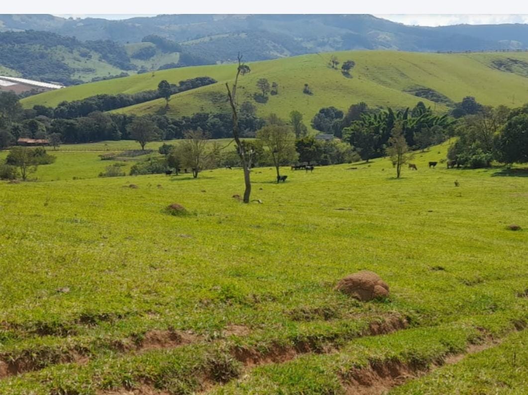Venda de Propriedade Rural – 14 Alqueires em Itapeva-MG Cód. 1253