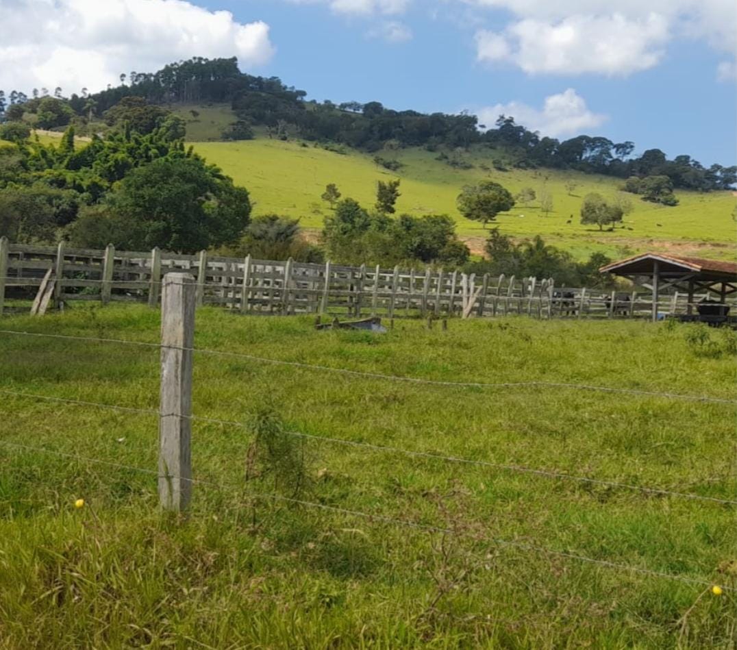 Venda de Propriedade Rural – 14 Alqueires em Itapeva-MG Cód. 1253