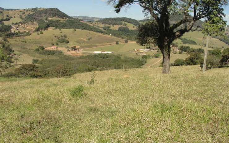 Sítio com casa, piscina, churrasqueira, pomar. localizado em Munhoz | código 256