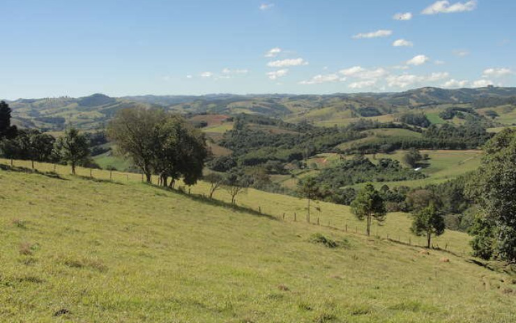 Sítio com casa, piscina, churrasqueira, pomar. localizado em Munhoz | código 256