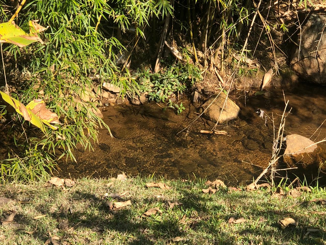 Chácara com piscina, lago, cachoeira, horta, pomar em extrema MG | código 568