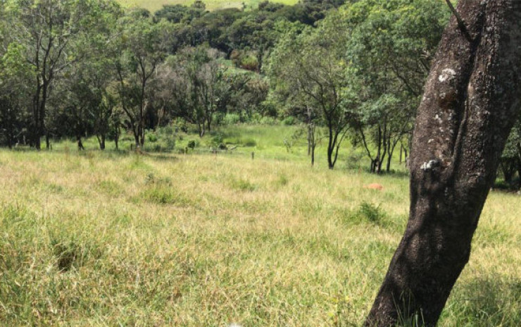 Sítio com: nascente, lago grande, córrego; 2 km do asfalto | Itapeva - MG | código 711