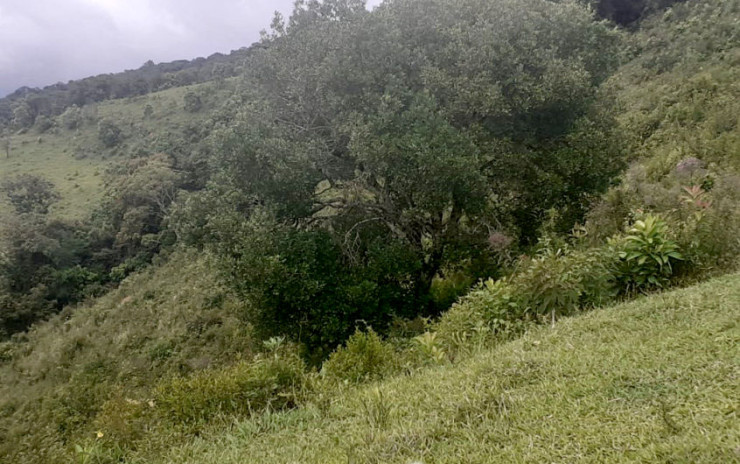 Sítio 70% aproveitável, estrada toda asfaltada, vista panorâmica | Extrema - MG | código 746