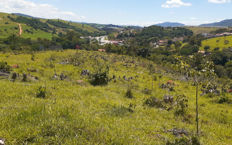 Terreno para indústria ou empreendimento imobiliário | Vargem - SP | código 759