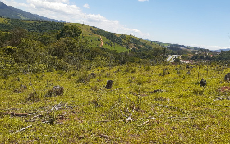 Terreno para indústria ou empreendimento imobiliário | Vargem - SP | código 759