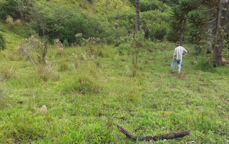 Sítio muito bem localizado, para agricultura ou pecuária. | Camanducaia - MG | código 770