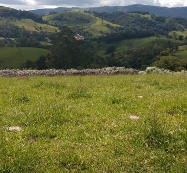 Sítio com: 3 tanques de peixe, vista panorâmica, casa sede | Munhoz - MG | código 779