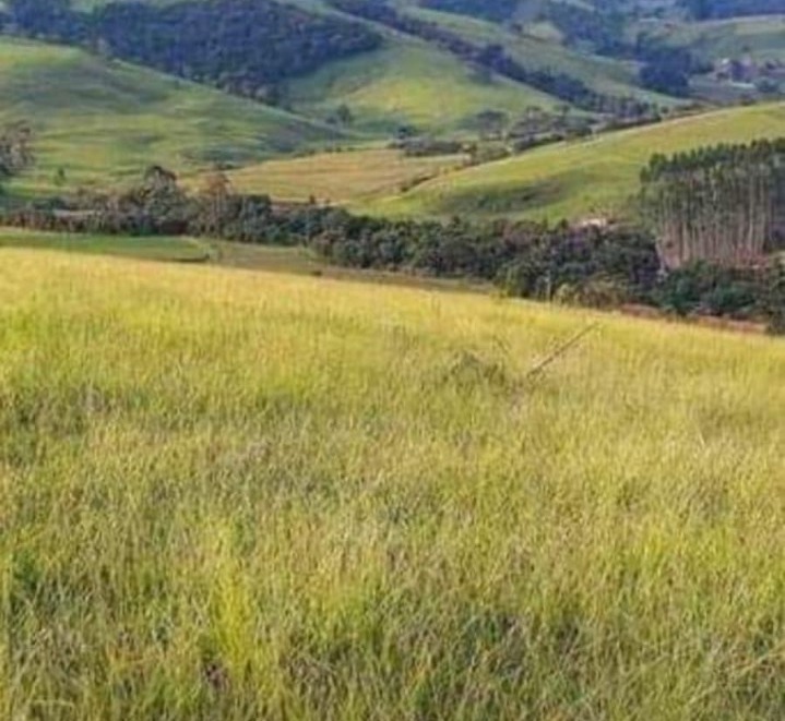 Sítio com: 3 tanques de peixe, vista panorâmica, casa sede | Munhoz - MG | código 779