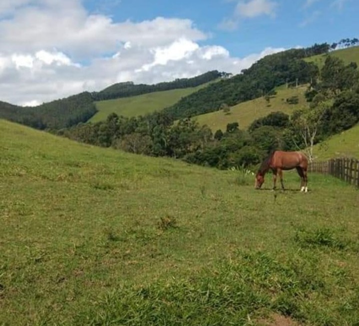 Sítio com: 3 tanques de peixe, vista panorâmica, casa sede | Munhoz - MG | código 779