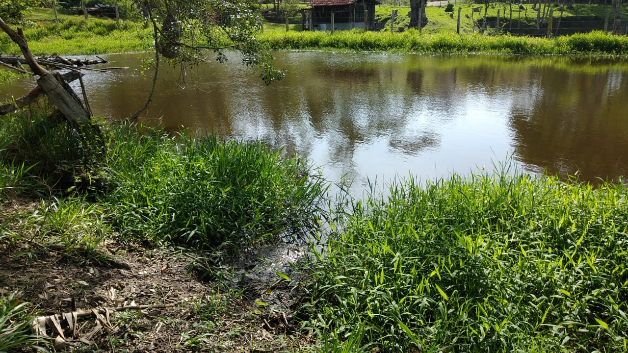 Sítio com: 3 tanques de peixe, vista panorâmica, casa sede | Munhoz - MG | código 779