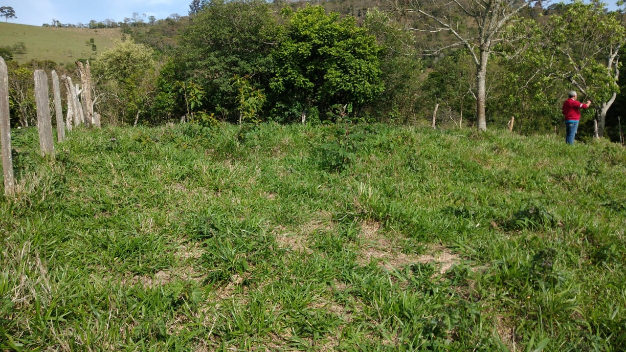 Sítio com: 3 tanques de peixe, vista panorâmica, casa sede | Munhoz - MG | código 779