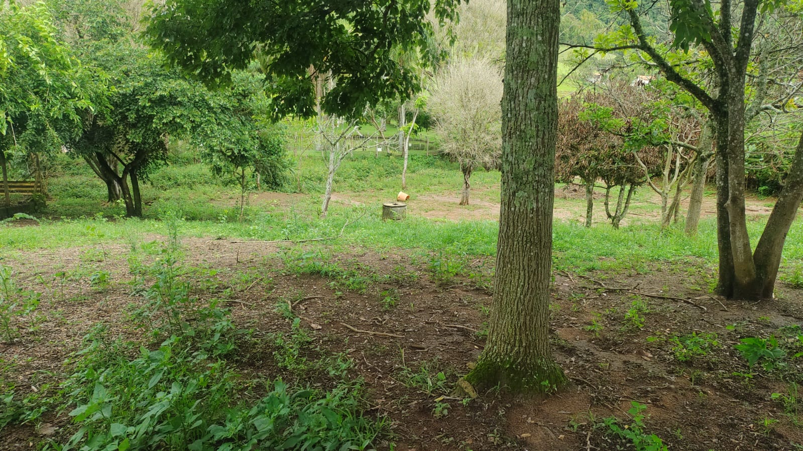 Chácara - casa de laje boa bem acabada. Poço, córrego | Itapeva - MG | código 786
