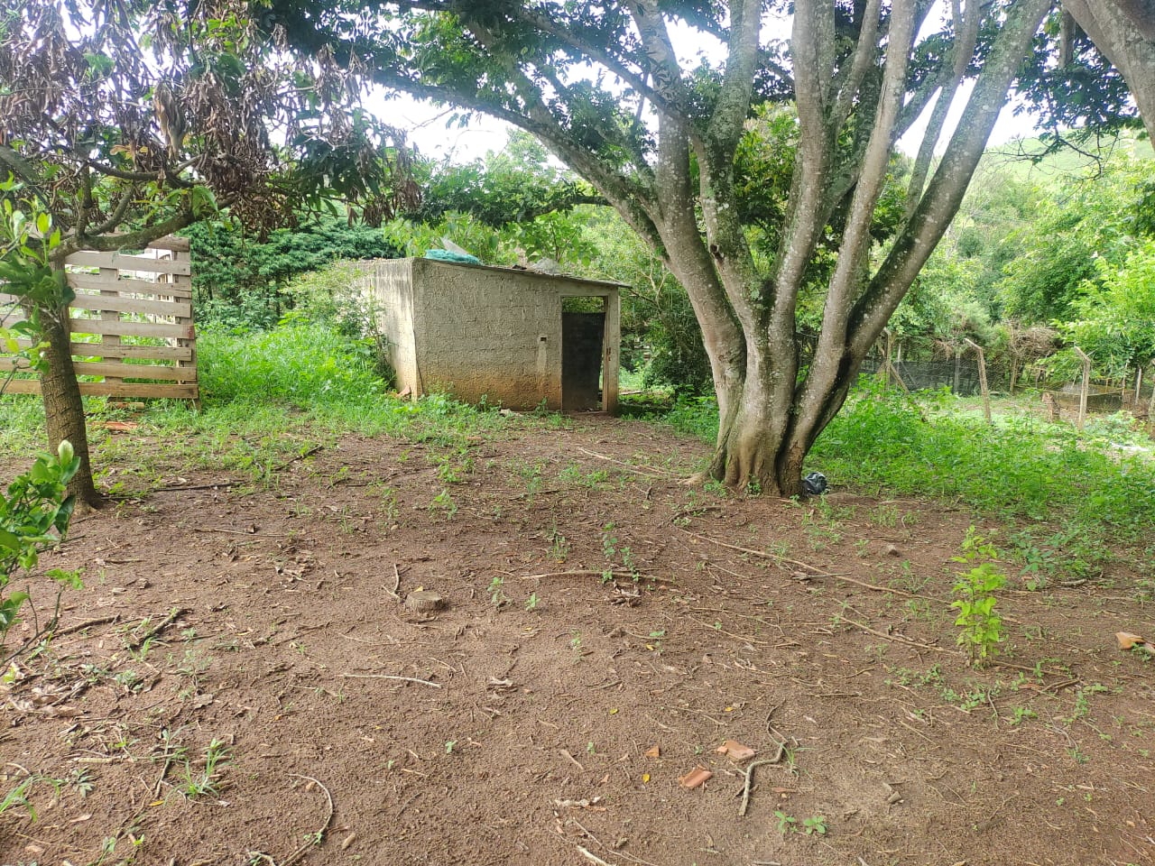 Chácara - casa de laje boa bem acabada. Poço, córrego | Itapeva - MG | código 786