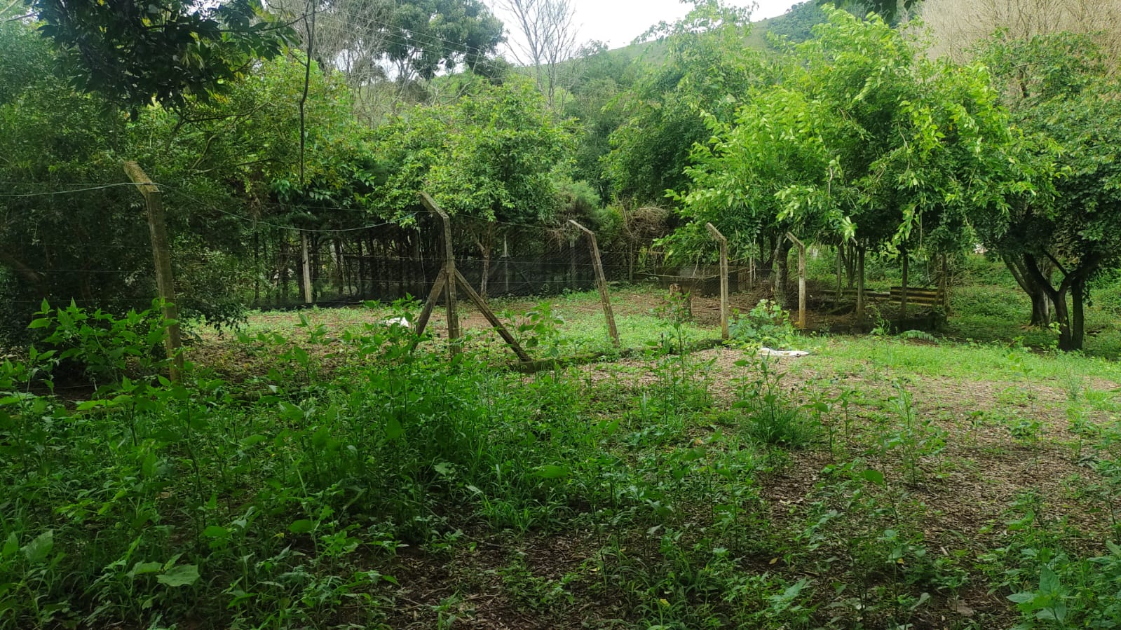 Chácara - casa de laje boa bem acabada. Poço, córrego | Itapeva - MG | código 786