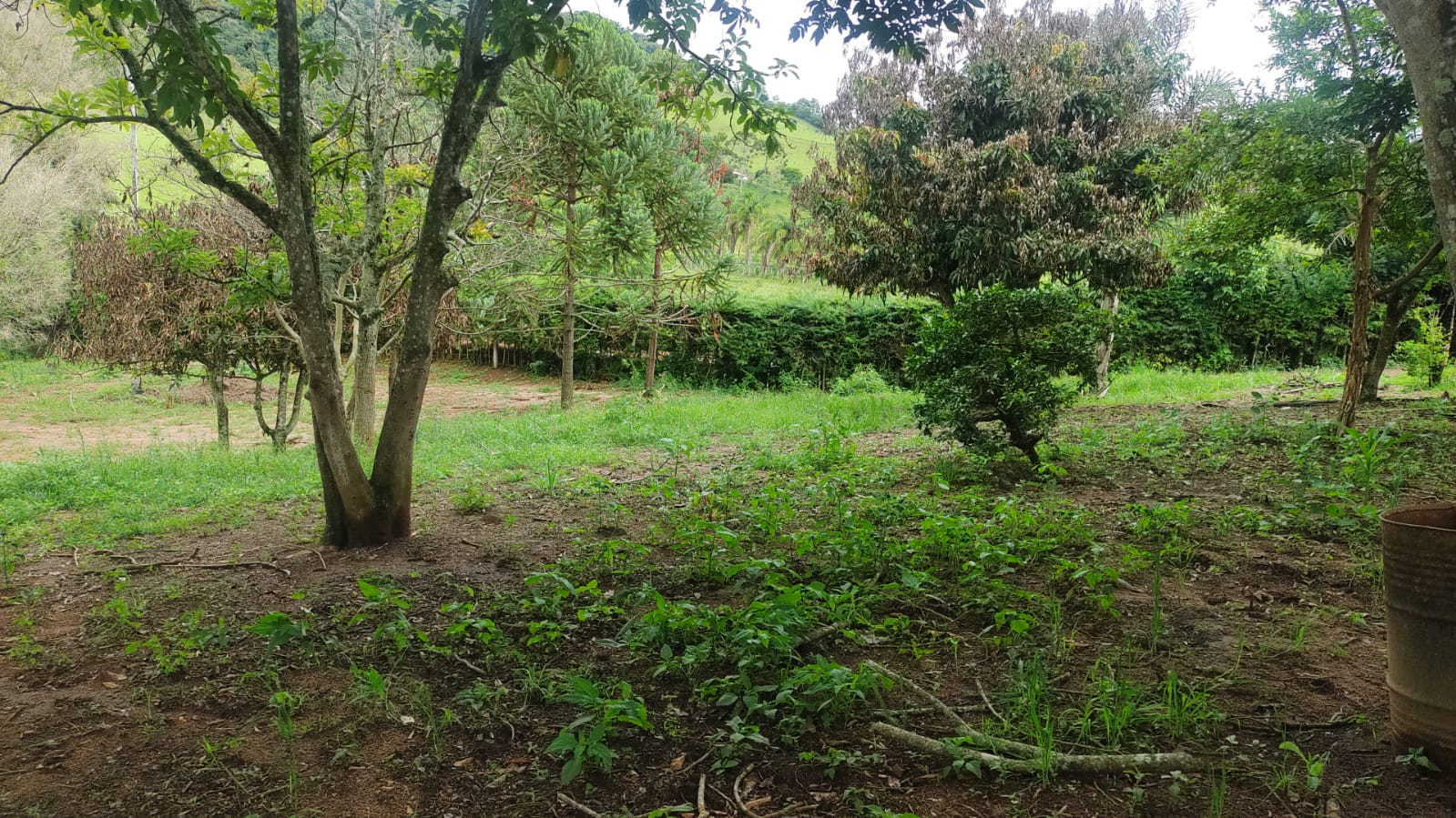 Chácara - casa de laje boa bem acabada. Poço, córrego | Itapeva - MG | código 786