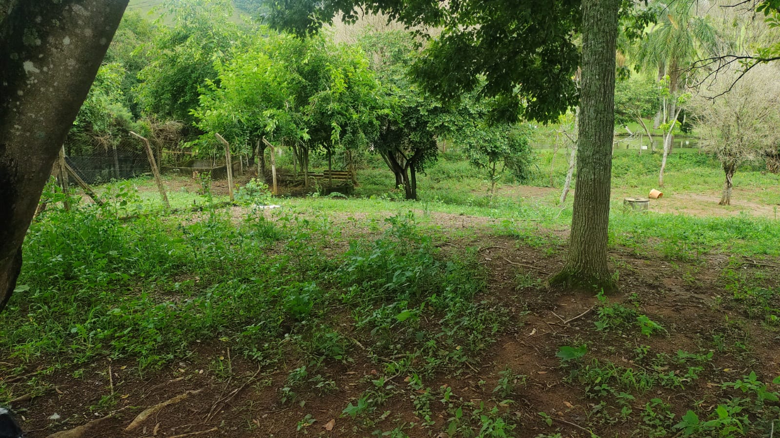 Chácara - casa de laje boa bem acabada. Poço, córrego | Itapeva - MG | código 786