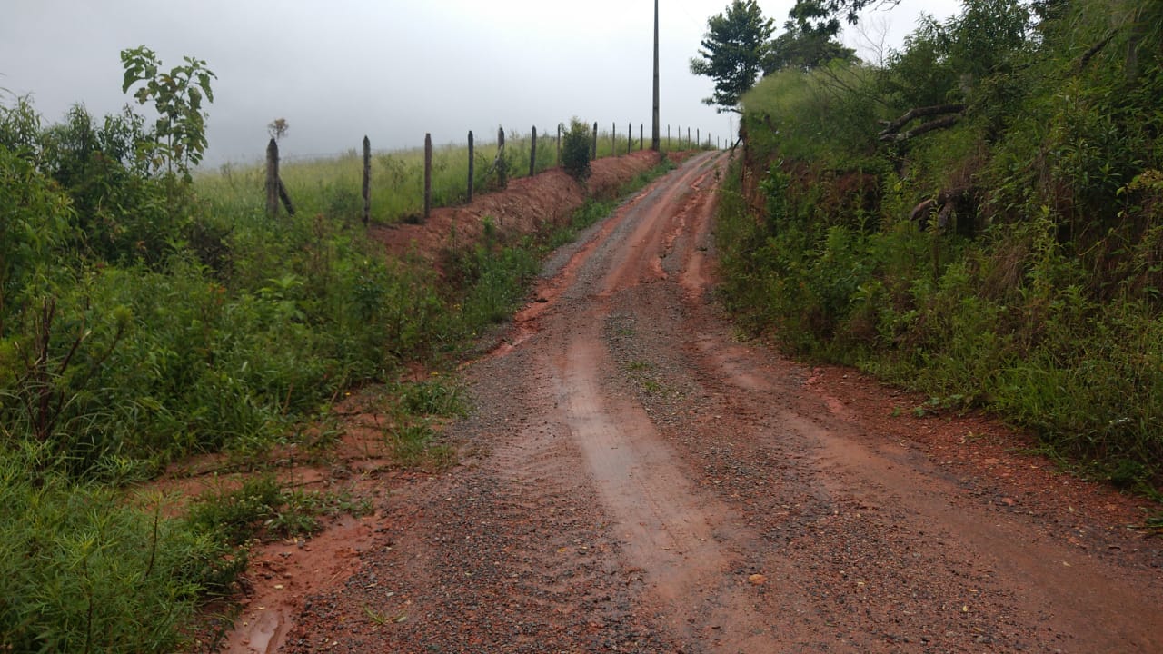 Fazenda riquíssima em água, terreno para plantio ou pecuária | Toledo MG | código 800